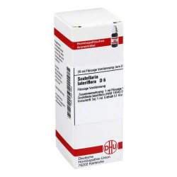 Scutellaria lateriflora D6 DHU Dil. 20ml