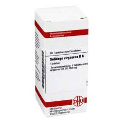Solidago virgaurea D6 DHU 80 Tbl.