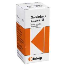 Synergon Komplex 55 Chelidonium N 100 Tbl.