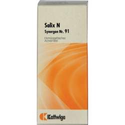 Synergon Komplex 91 Salix N Tropf. 20ml