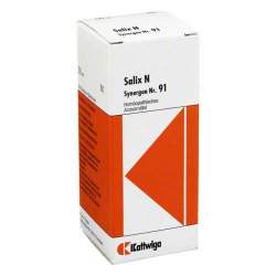 Synergon Komplex 91 Salix N Tropf. 50ml
