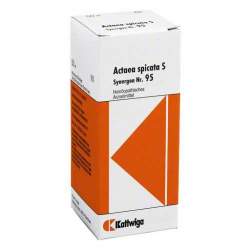 Synergon Komplex 95 Actaea spicata S Tropfen 50ml