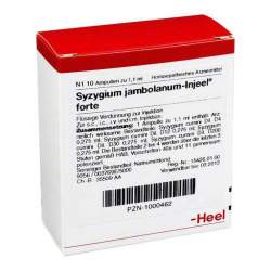 Syzygium jambolanum Injeel forte 10 Amp.