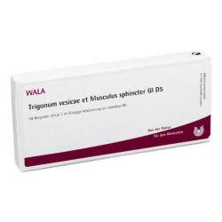 Trigonum Vesic. et musc. sph. Gl D5 Wala Amp. 10X1 ml