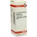 Aconitum C6 DHU 20ml Dil.