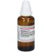 Aconitum D10 DHU 50ml Dil.