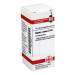 Agnus castus D30 DHU Glob. 10 g