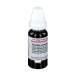 Ailanthus glandulosa D4 DHU Dil. 20 ml