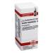 Arundo mauritanica D12 DHU Glob. 10 g