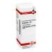 Belladonna D6 DHU 20ml Dil.