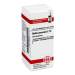 Bellis perennis C12 DHU Glob. 10 g