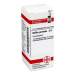 Bellis perennis C6 DHU Glob. 10 g