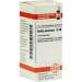 Bellis perennis D30 DHU Glob. 10 g
