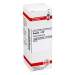 Bryonia C30 DHU Dil. 20ml
