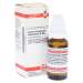 Calcium carbonicum H. D200 DHU 20 ml