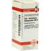 Calcium carbonicum Hahnemanni LM III DHU 10ml Dil.