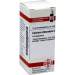 Calcium chloratum C30 DHU Glob. 10g
