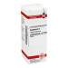 Cantharis D6 DHU 20ml Dil.