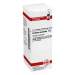Carduus marianus D2 DHU Dil. 20 ml