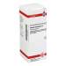 Carduus marianus D6 DHU Dil. 50ml