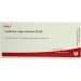 Cerebrum Regio Motor Gl D5 Wala 10 x1ml Amp.
