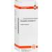 Chimaphila umbellata D2 DHU Dil. 20 ml