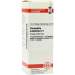 Chimaphila umbellata D3 DHU Dil. 20 ml