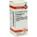 Colocynthis C6 DHU Glob. 10 g