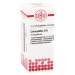 Colocynthis D6 DHU Glob. 10g