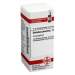 Dolichos pruriens D12 DHU 10g Glob.