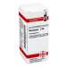 Dulcamara C30 DHU Glob. 10g