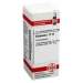 Echinacea HAB D12 DHU Glob. 10 g