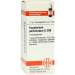 Eupatorium perfoliatum D200 DHU 10g Glob.
