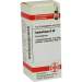 Euphorbium D30 DHU Glob. 10 g