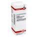 Ferrum phosphoricum D12 DHU 20ml Dil.