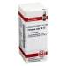 Formica rufa D12 DHU 10g Glob.