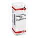 Galphimia glauca D12 DHU 20ml Dil.