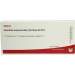 Glandula Supraren. Cort. Gl D12 Wala Amp. 10x1ml
