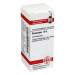 Guaiacum D6 DHU Glob. 10g