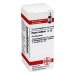 Hepar sulfuris C12 DHU Glob. 10 g