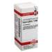 Hepar sulfuris C200 DHU Glob. 10 g