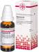 Hypericum D2 DHU Dil. 20 ml