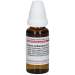 Kalium carbonicum C30 DHU Dil. 20ml