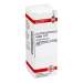 Ledum D12 DHU Dil. 20 ml