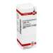 Ledum D6 DHU 20ml Dil.