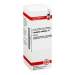 Leonurus cardiaca Urtinktur DHU Dil. 20 ml