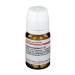 Lycopus virginicus D30 DHU 80 Tbl.