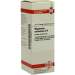 Magnesium carbonicum D6 DHU 20ml Dil.