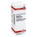 Magnesium carbonicum D8 DHU Dil. 20 ml