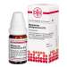 Magnesium phosphoricum D12 DHU Glob. 10 g